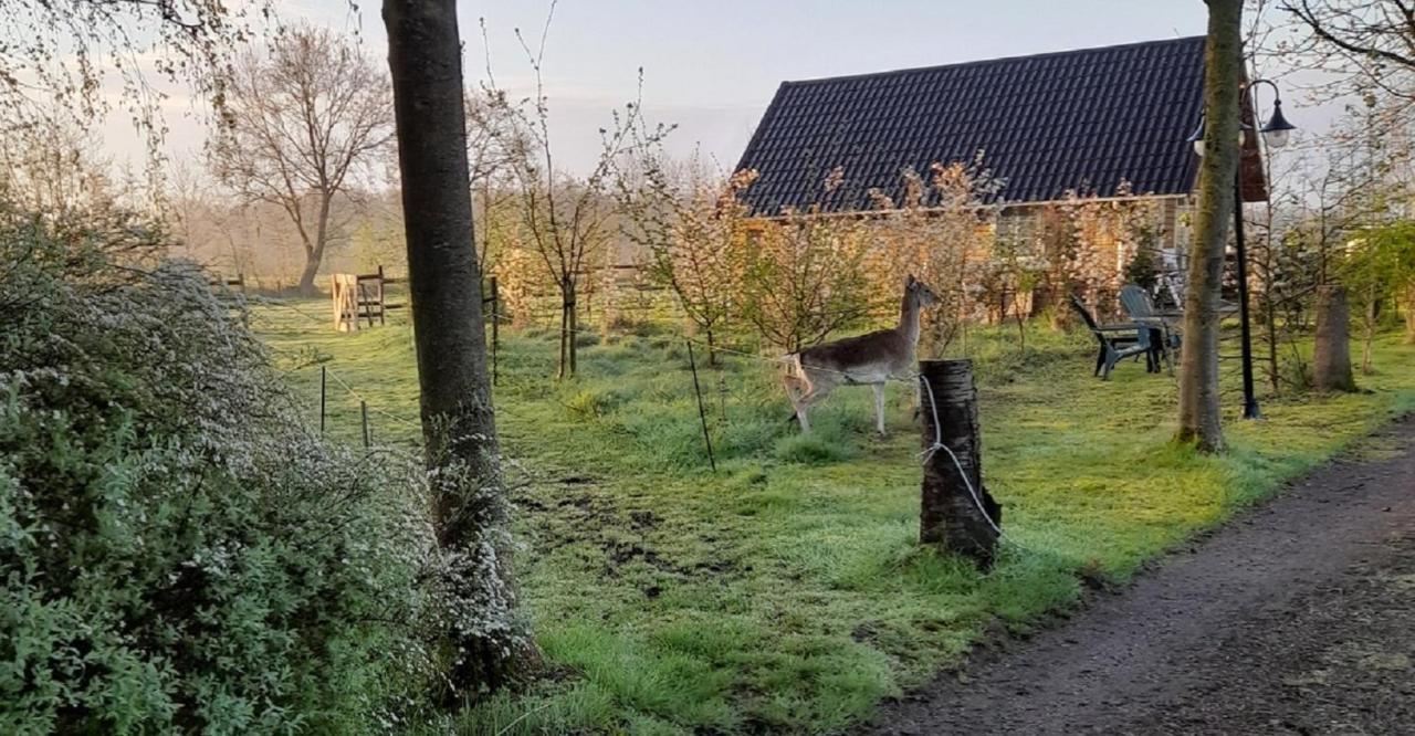 B&B Landgoed Sonneborghe Kollumerzwaag Luaran gambar