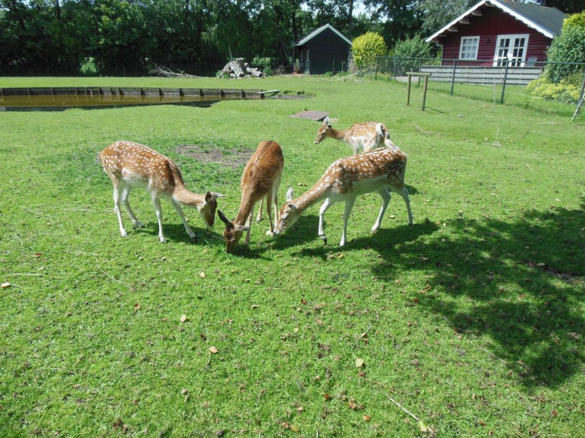 B&B Landgoed Sonneborghe Kollumerzwaag Luaran gambar
